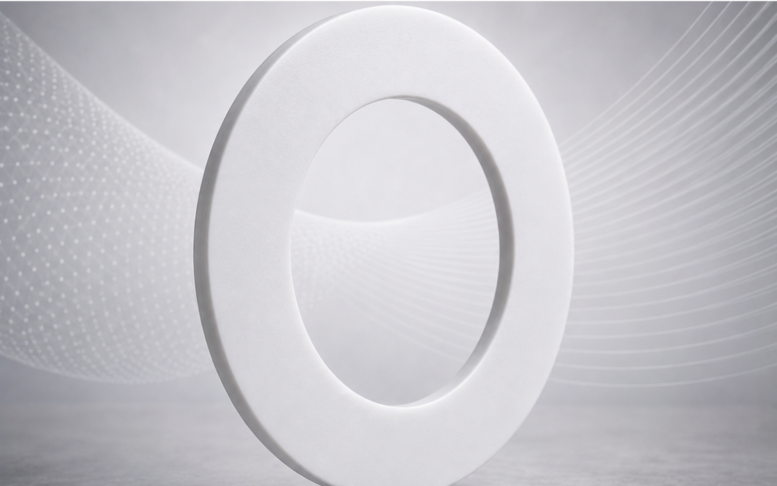PTFE gasket